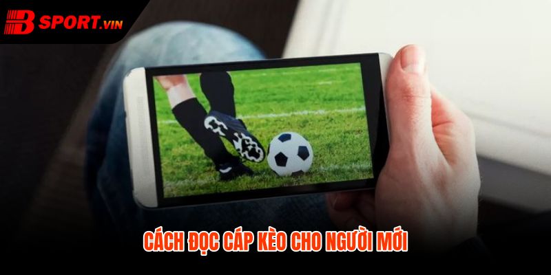 Cáp kèo là gì qua trình tự đọc kèo an toàn