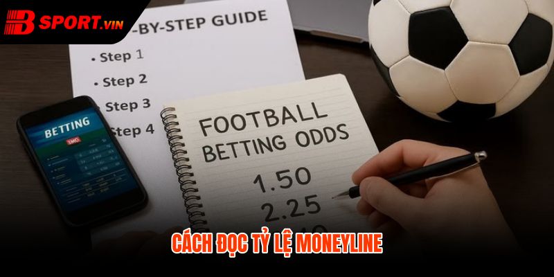 Kèo moneyline là gì qua dấu âm dương và xác suất