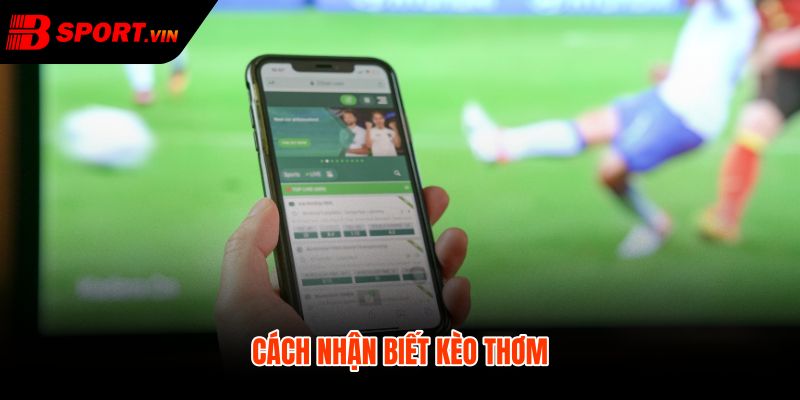 Kèo thơm là gì qua tỷ lệ nhà cái và phong độ