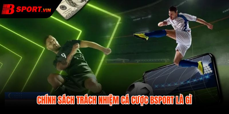Trách nhiệm cá cược Bsport và ranh giới chơi an toàn