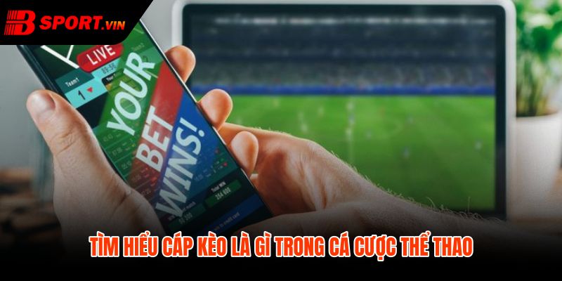 Cáp kèo là gì qua tỷ lệ mức chấp điều kiện